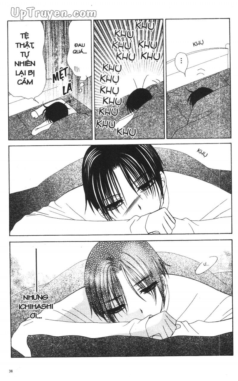 V.b.rose: Chapter 12