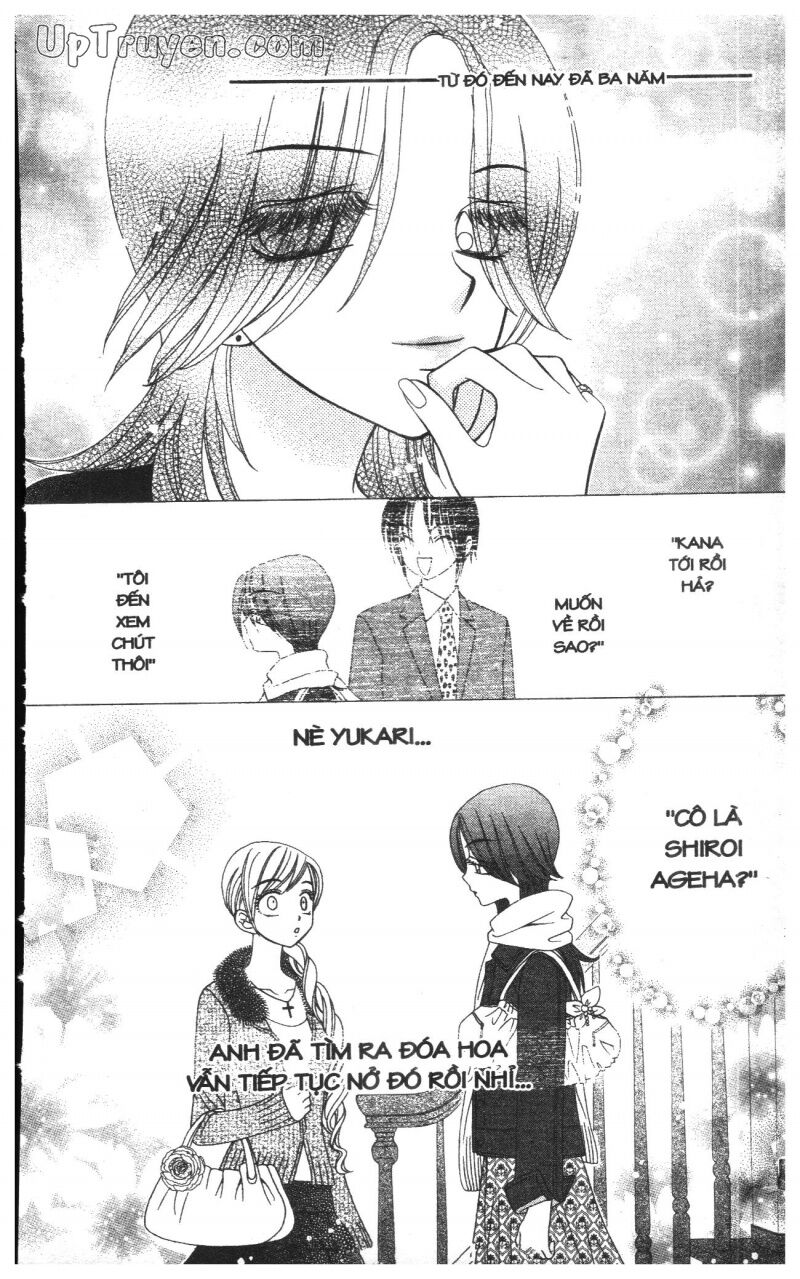 V.b.rose: Chapter 8