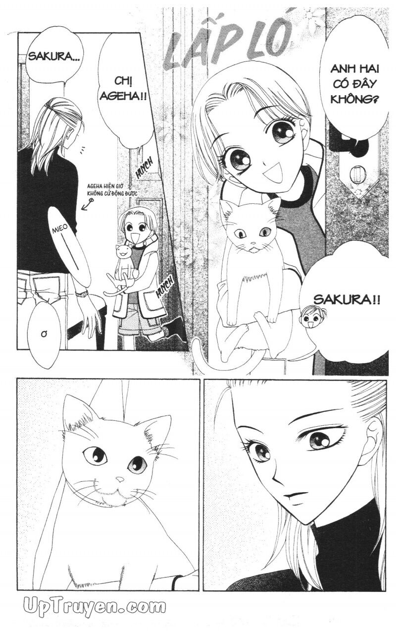 V.b.rose: Chapter 9