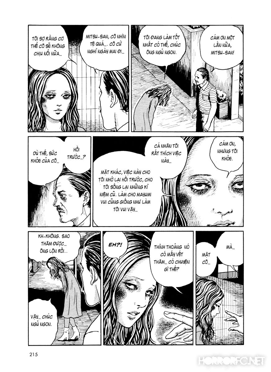 The Shard of Evil: Chapter 7.5: End