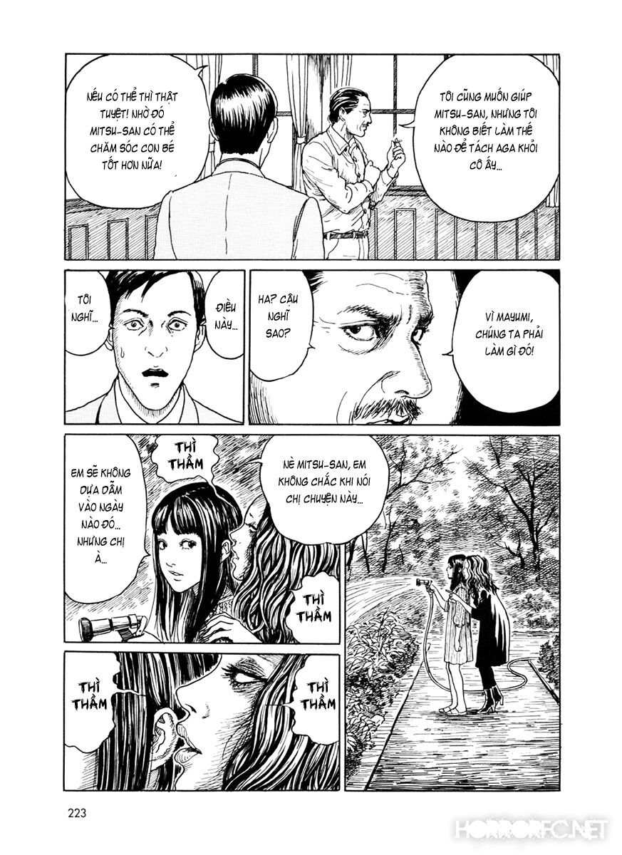 The Shard of Evil: Chapter 7.5: End