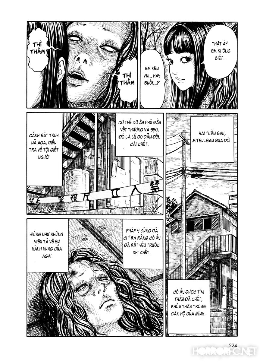 The Shard of Evil: Chapter 7.5: End