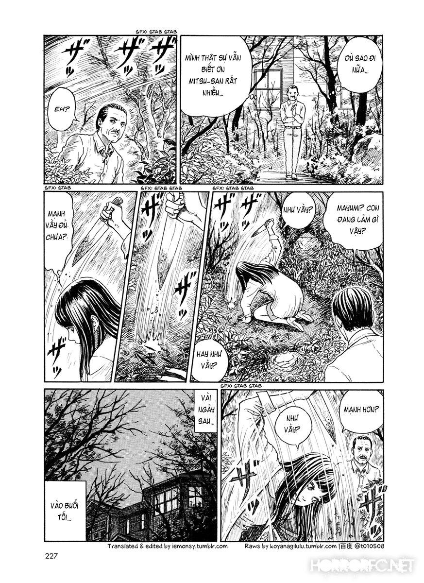 The Shard of Evil: Chapter 7.5: End