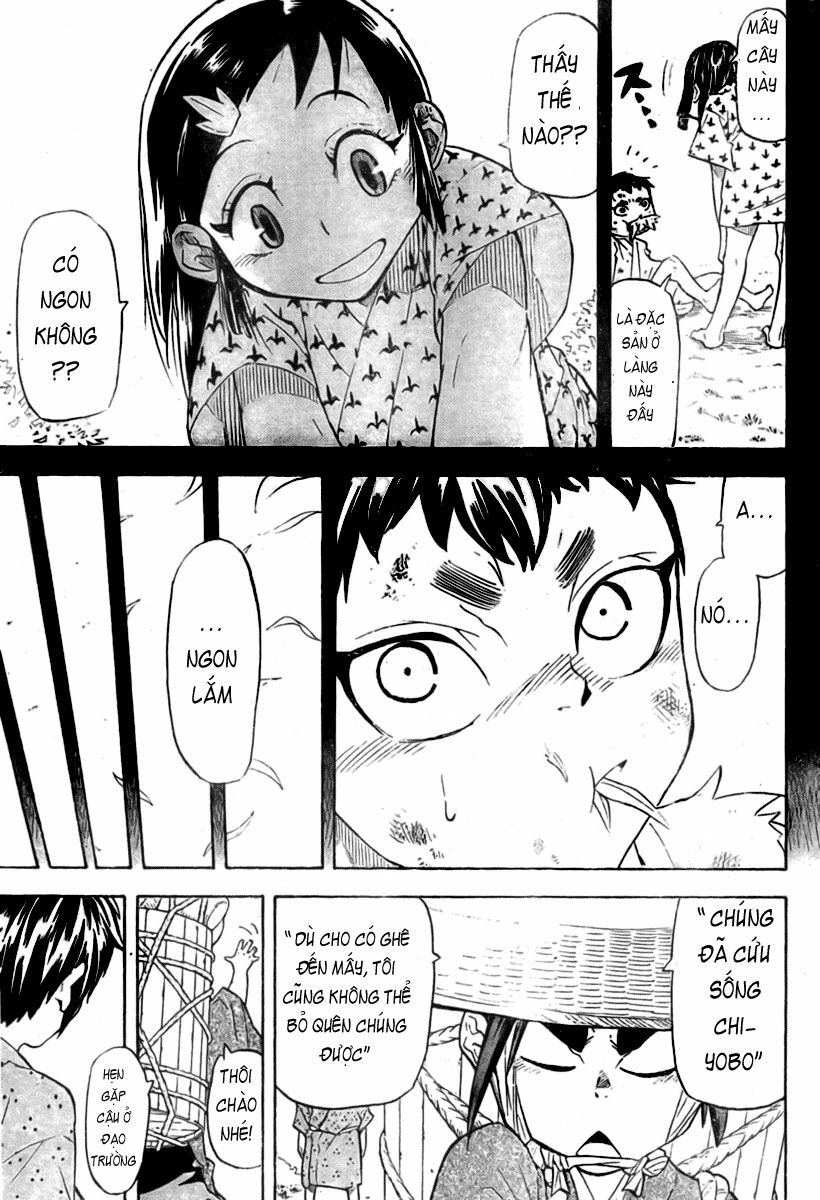 Samurai Usagi: Chapter 6