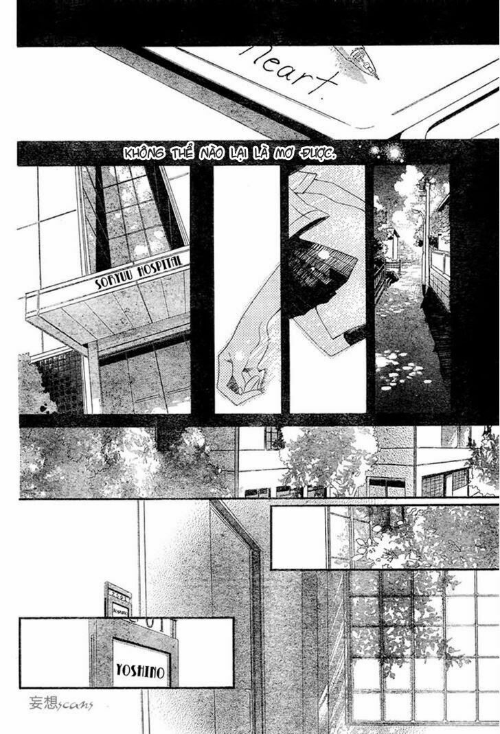 Kimi ga Hikari: Chapter 1: One shot