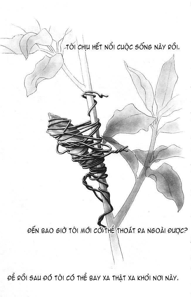 Papillon hana to chou - Hoa Và Bướm: Chapter 1
