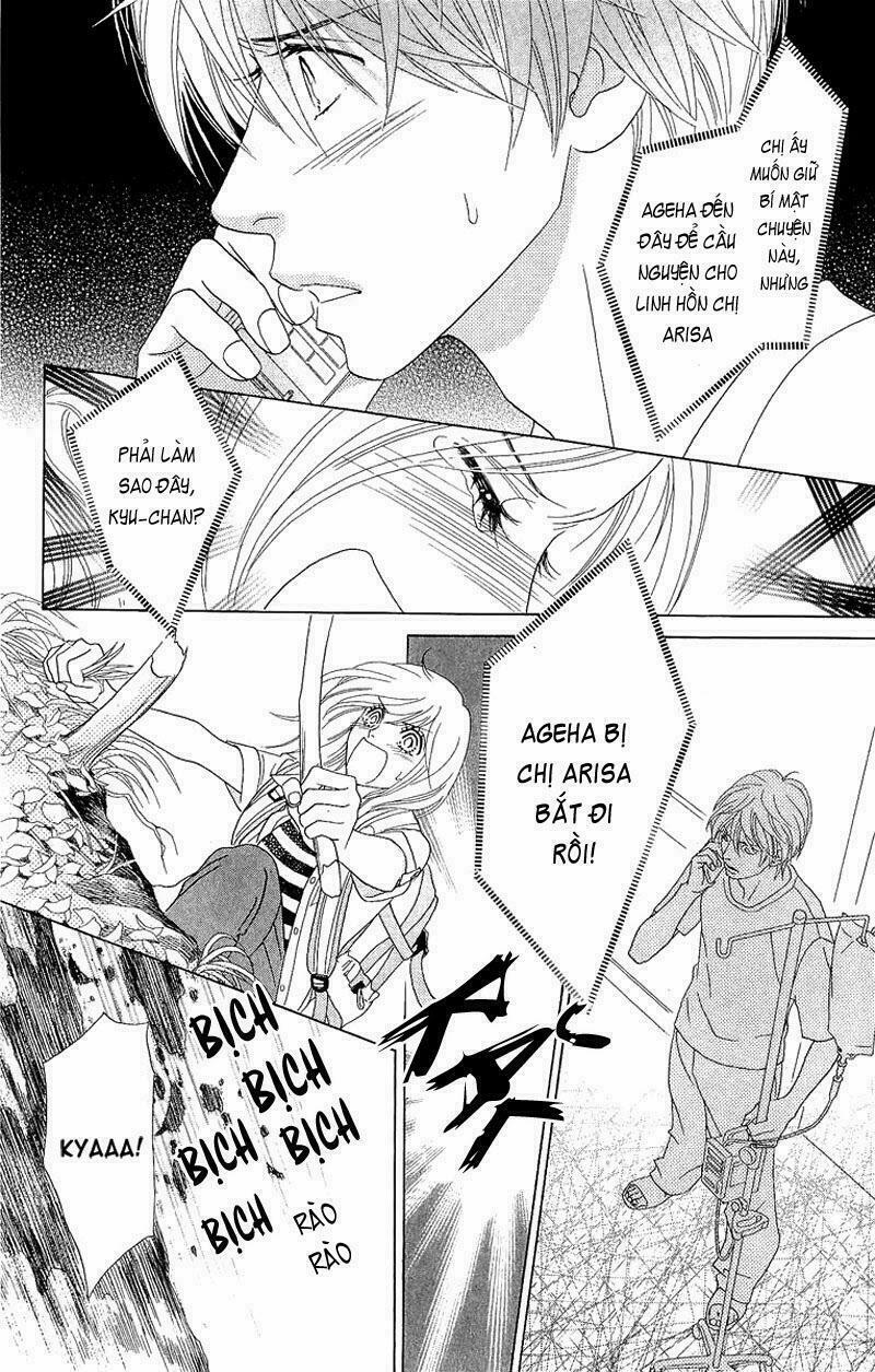 Papillon hana to chou - Hoa Và Bướm: Chapter 38