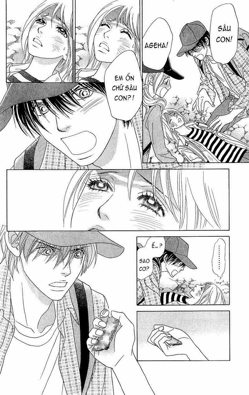 Papillon hana to chou - Hoa Và Bướm: Chapter 40