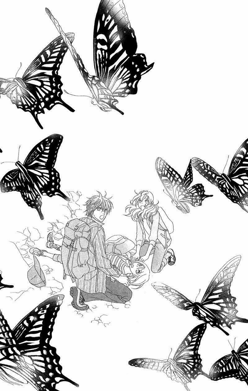Papillon hana to chou - Hoa Và Bướm: Chapter 40