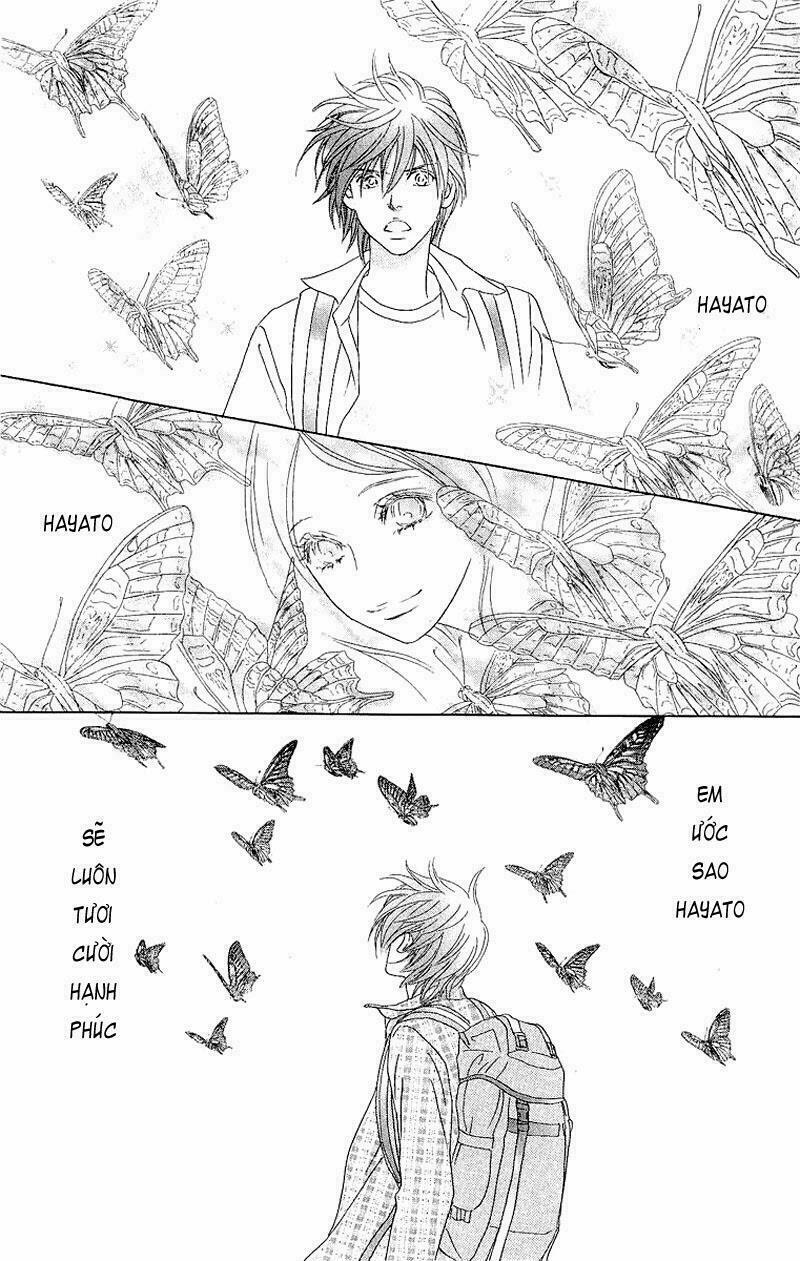 Papillon hana to chou - Hoa Và Bướm: Chapter 40