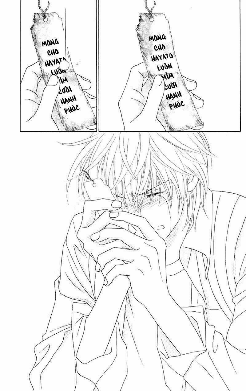 Papillon hana to chou - Hoa Và Bướm: Chapter 40