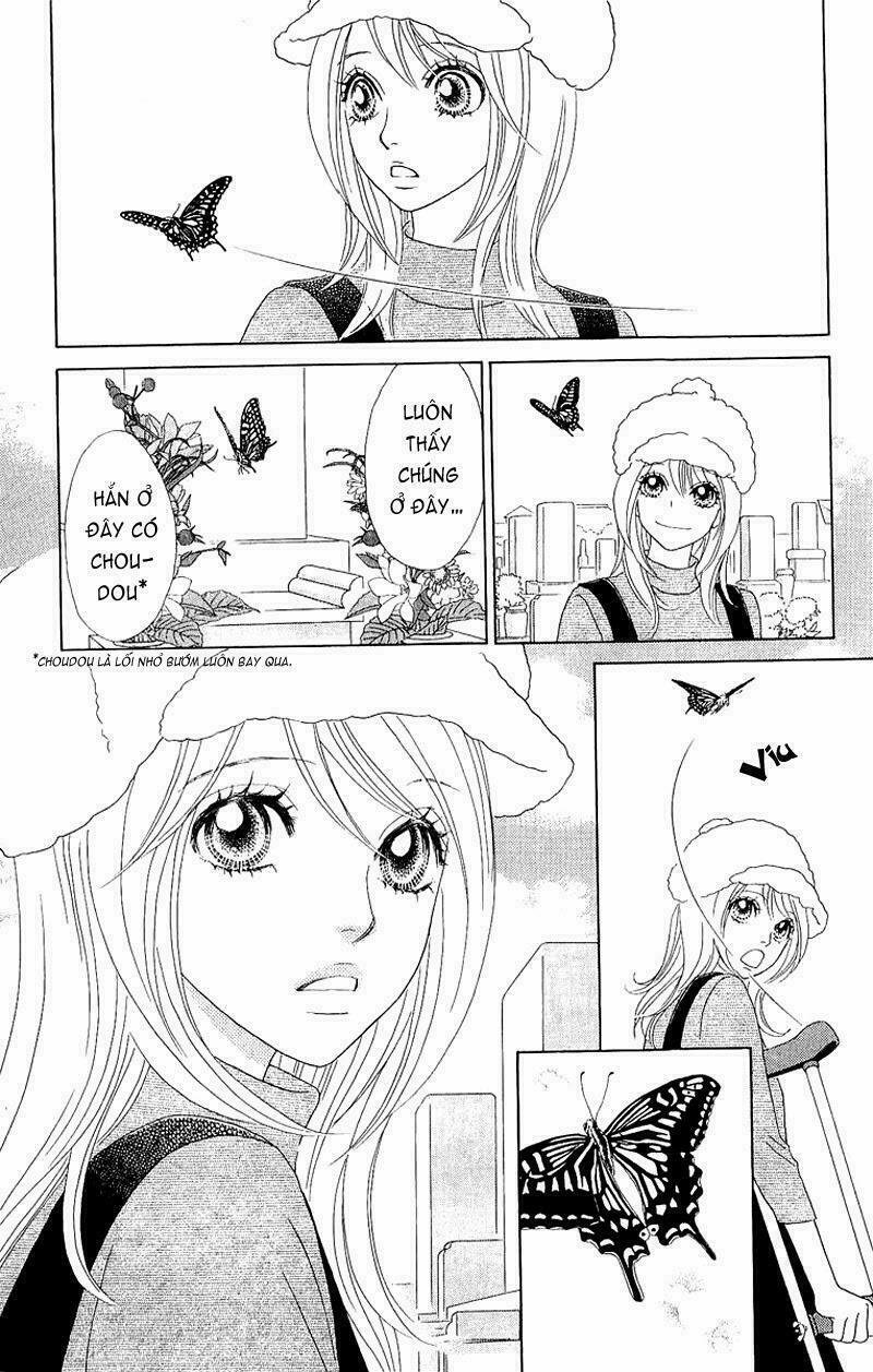 Papillon hana to chou - Hoa Và Bướm: Chapter 40