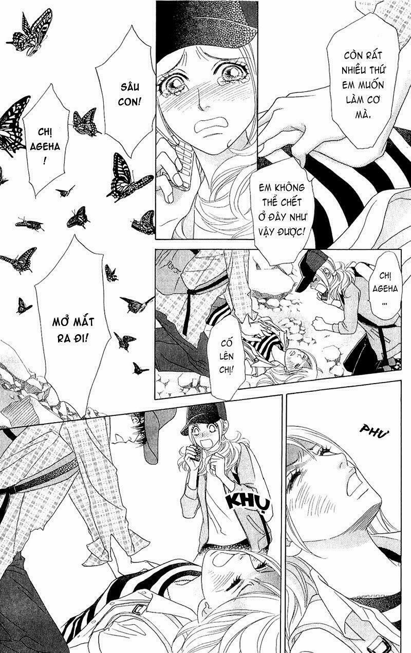 Papillon hana to chou - Hoa Và Bướm: Chapter 40
