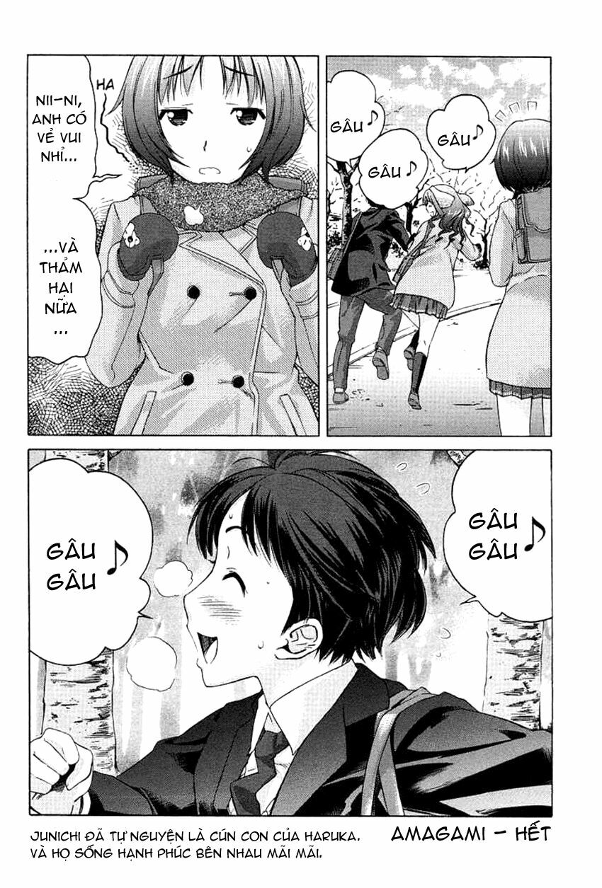 Amagami - Precious Diary: Chapter 16.2