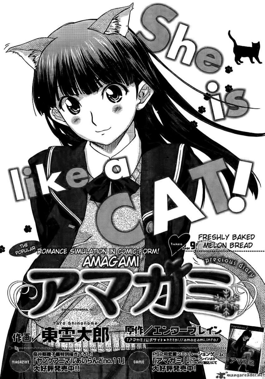 Amagami - Precious Diary: Chapter 9
