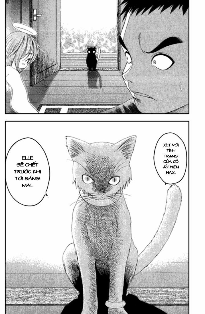 Happy World!: Chapter 17