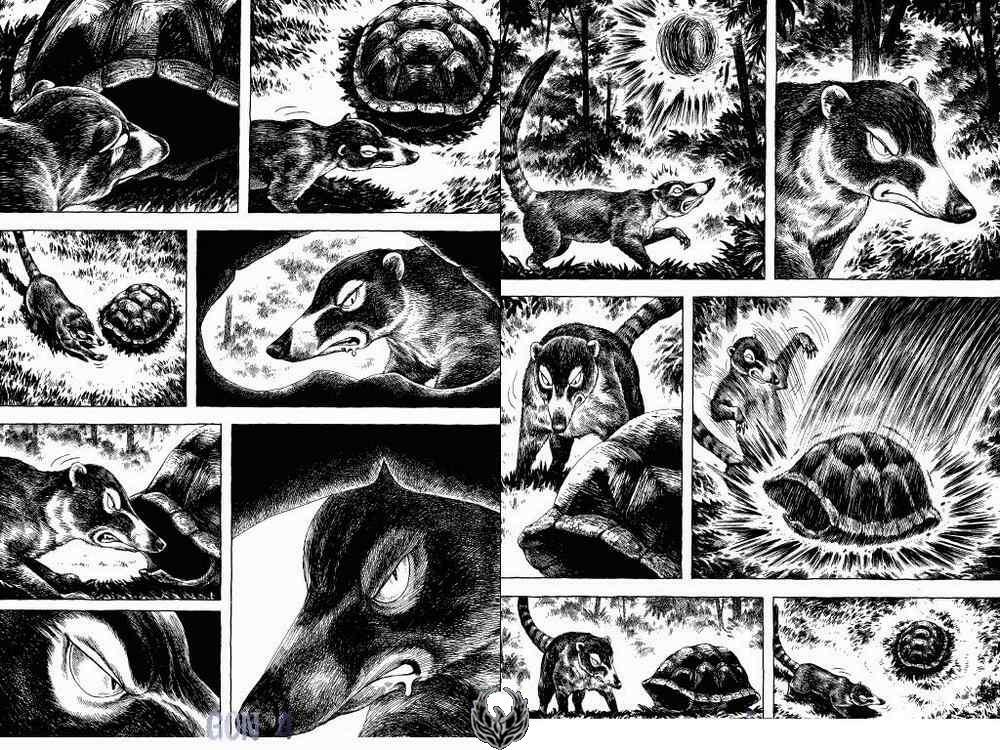 GON: Chapter 13