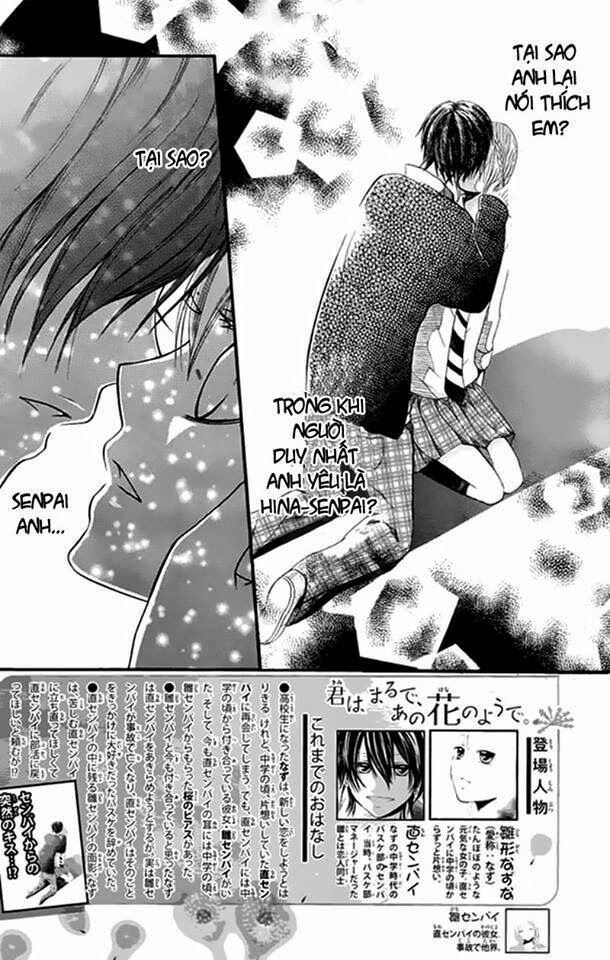 Kimi wa Maru de, Ano Hana no You de: Chapter 3