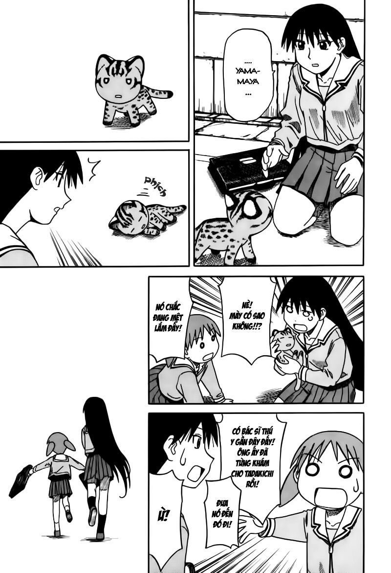 Azumanga Daioh: Chapter 61: November special