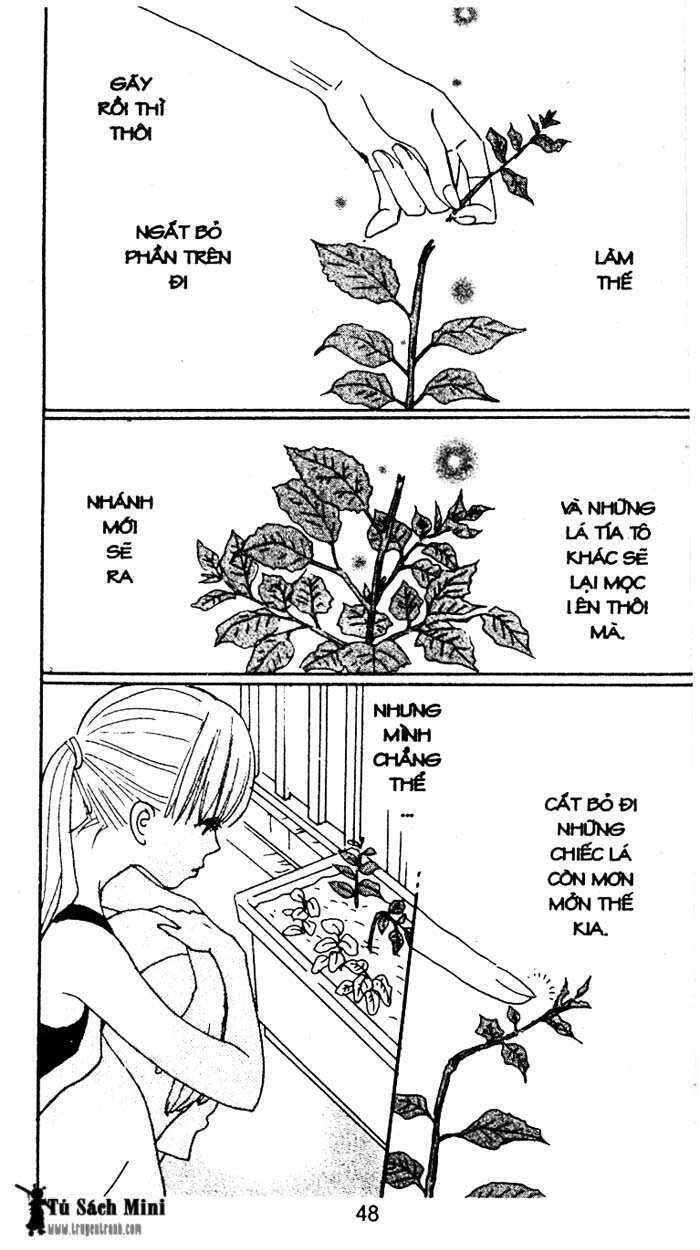 Tình Yêu Và Cuộc Sống: Chapter 24