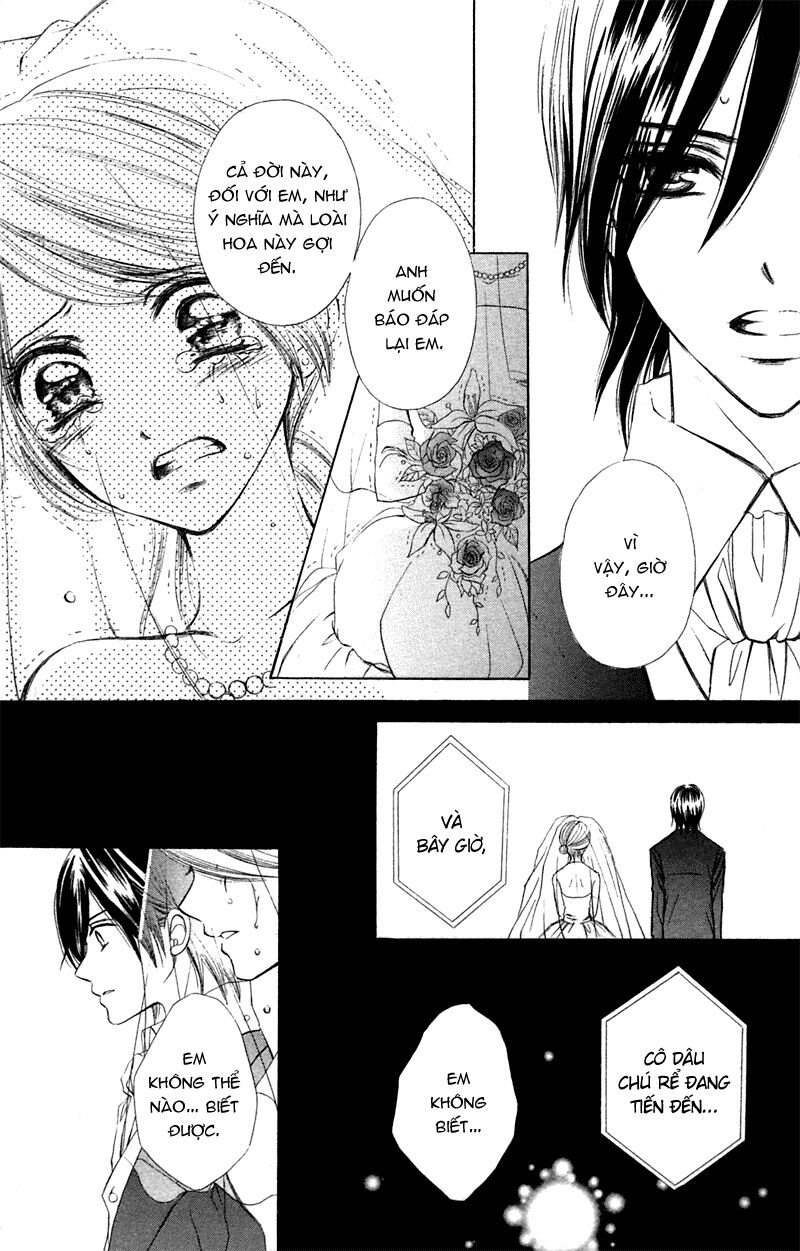 Hoa Tâm: Chapter 1