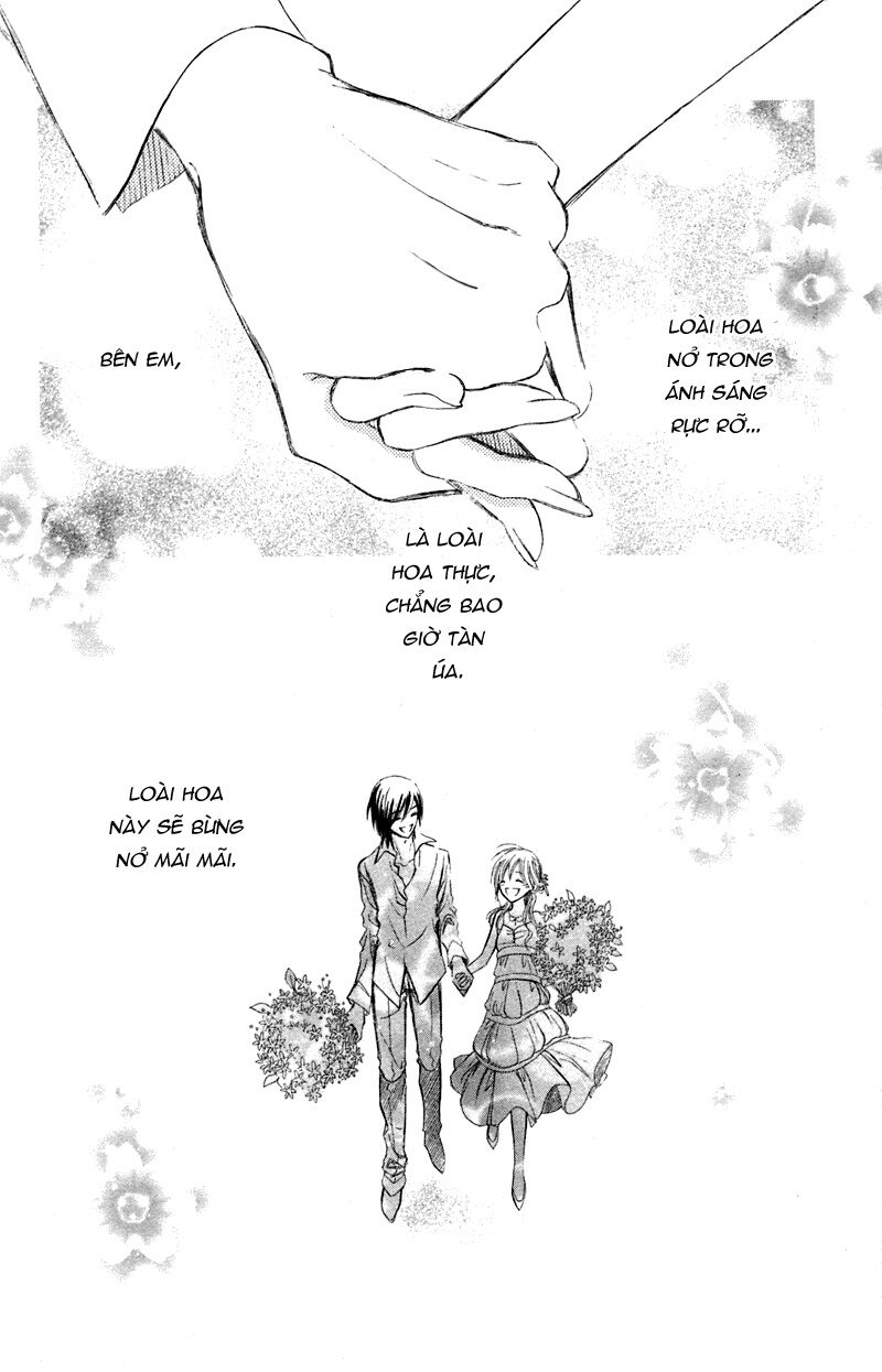 Hoa Tâm: Chapter 1