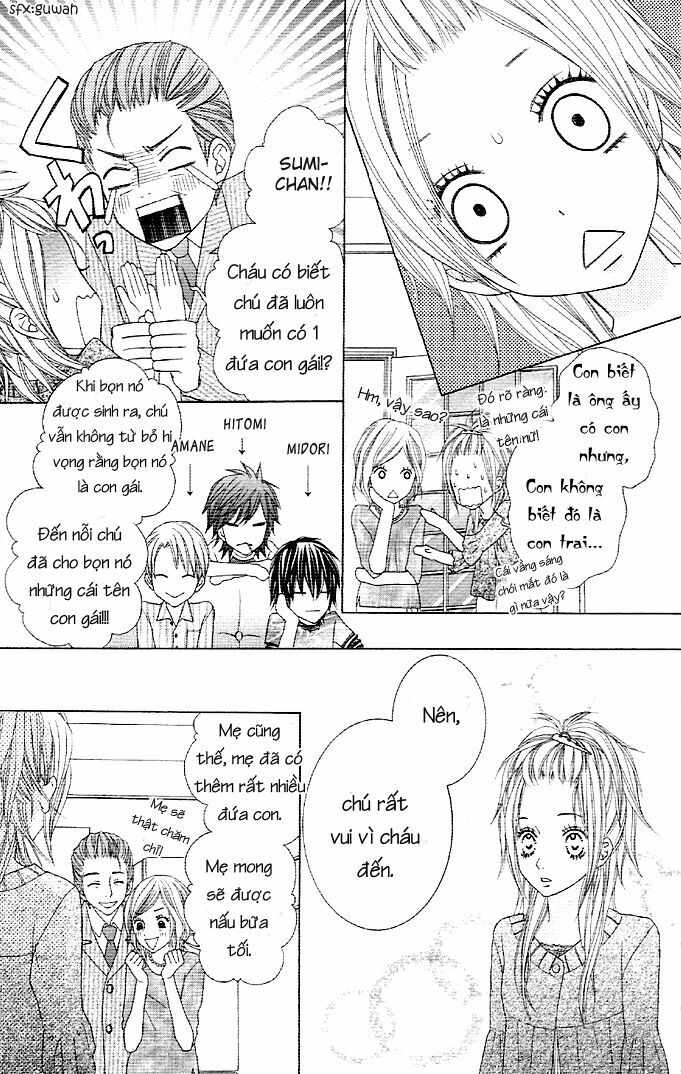 Animal Jungle: Chapter 1