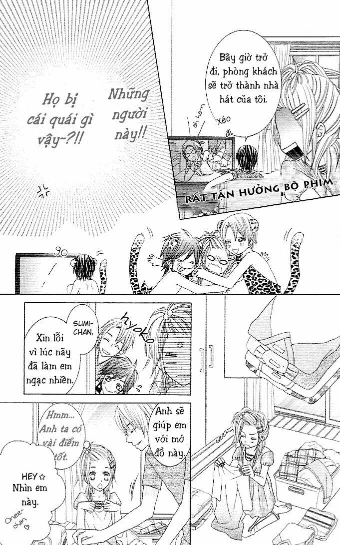 Animal Jungle: Chapter 1