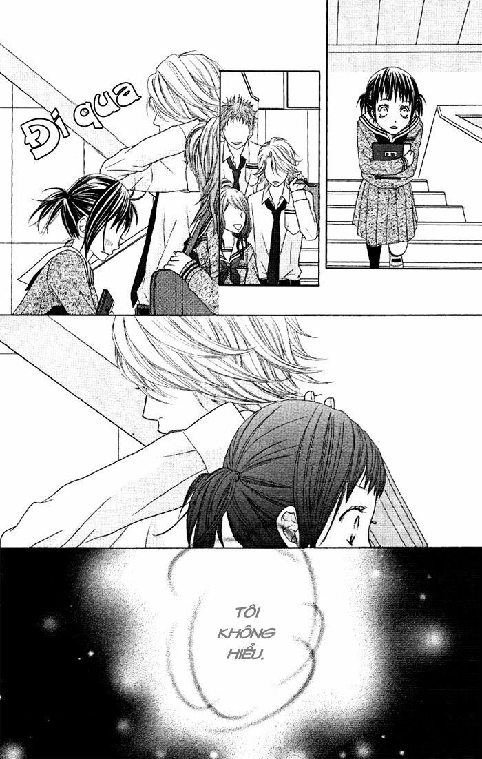 Animal Jungle: Chapter 4
