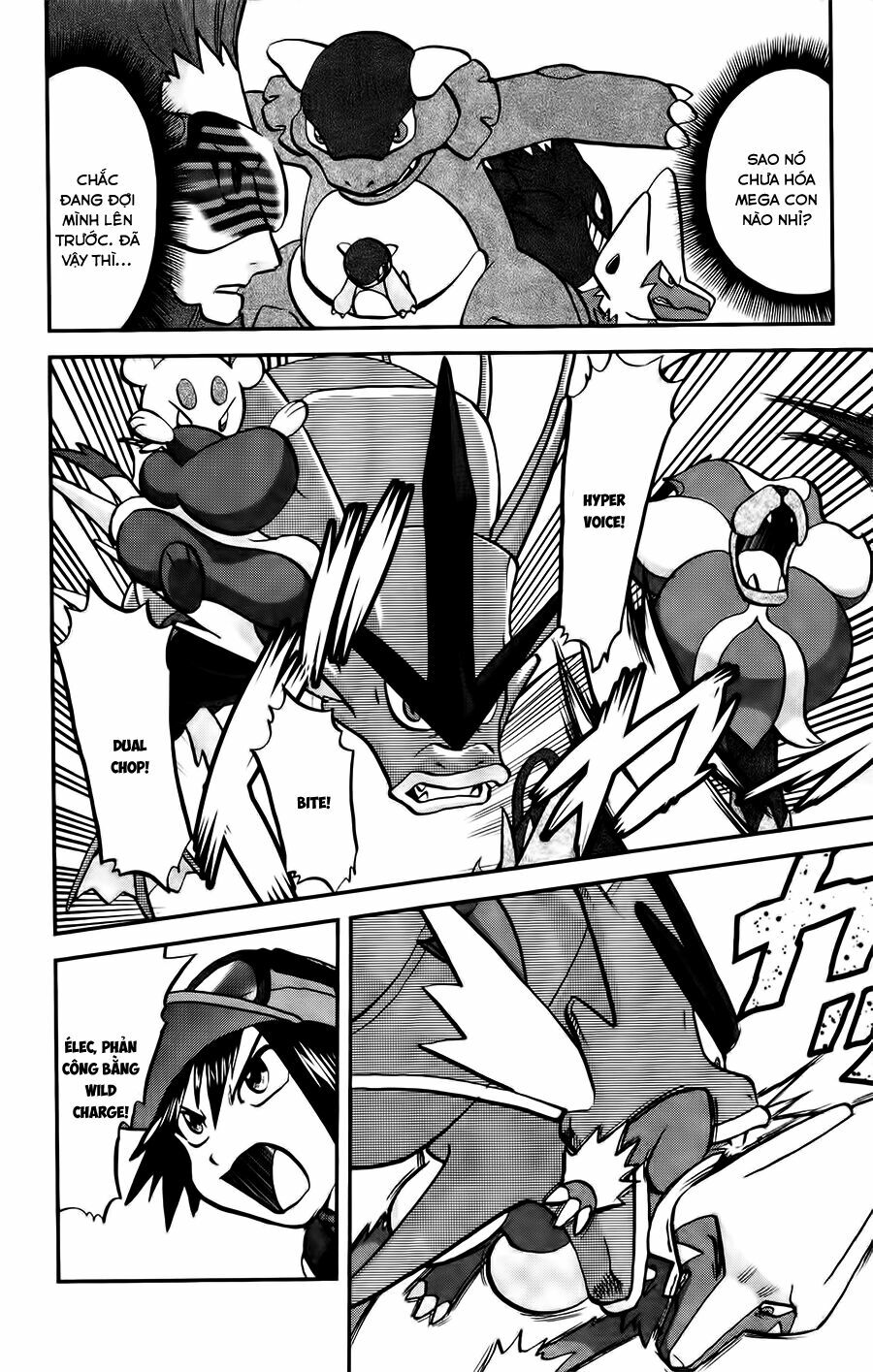Thú Cưng đặc biệt XY: Chapter 24