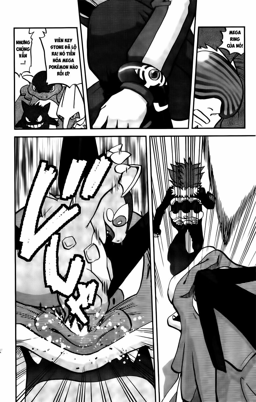 Thú Cưng đặc biệt XY: Chapter 24