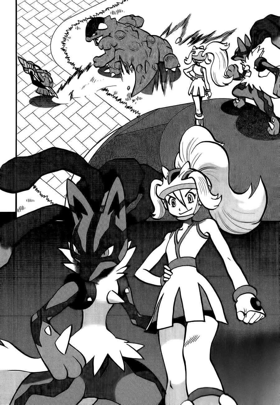 Thú Cưng đặc biệt XY: Chapter 7