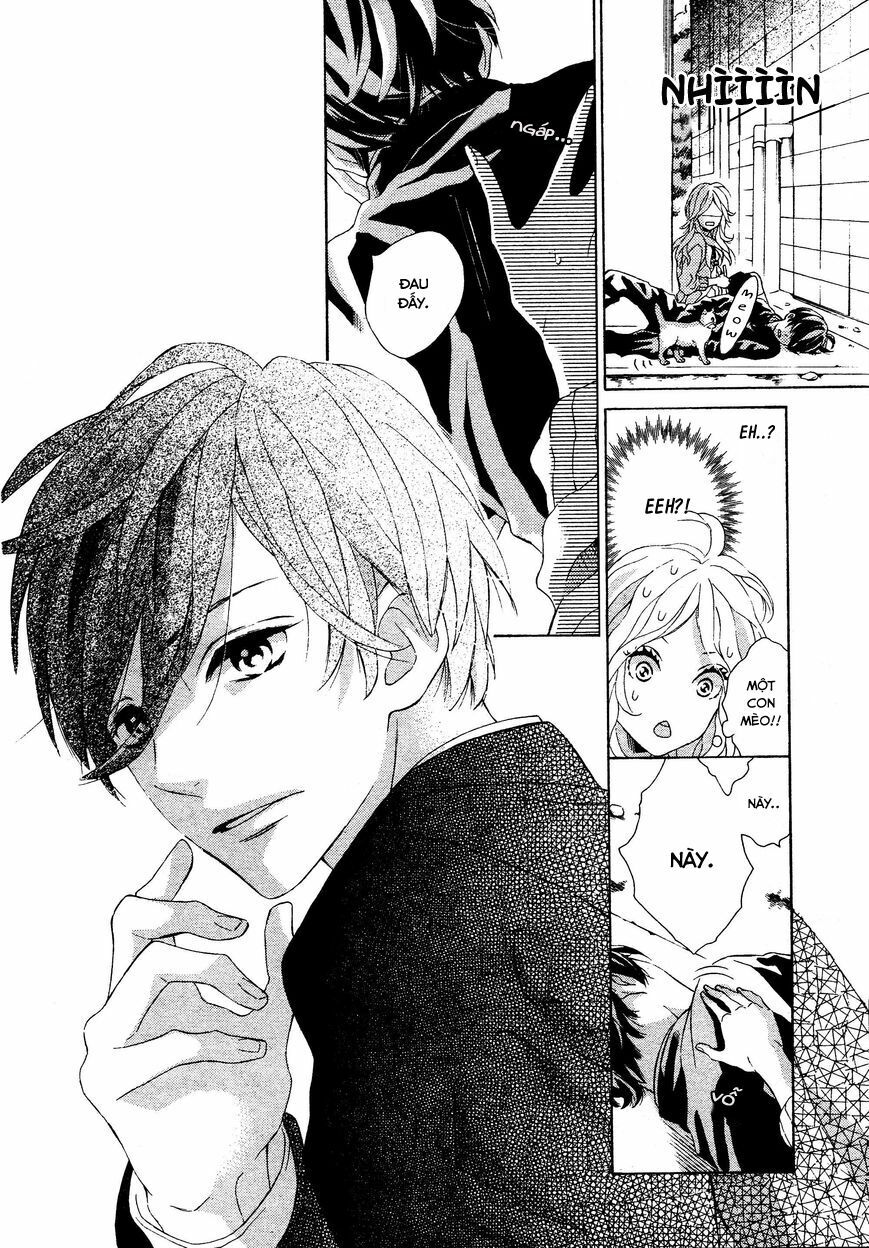 Sunrise!: Chapter 1