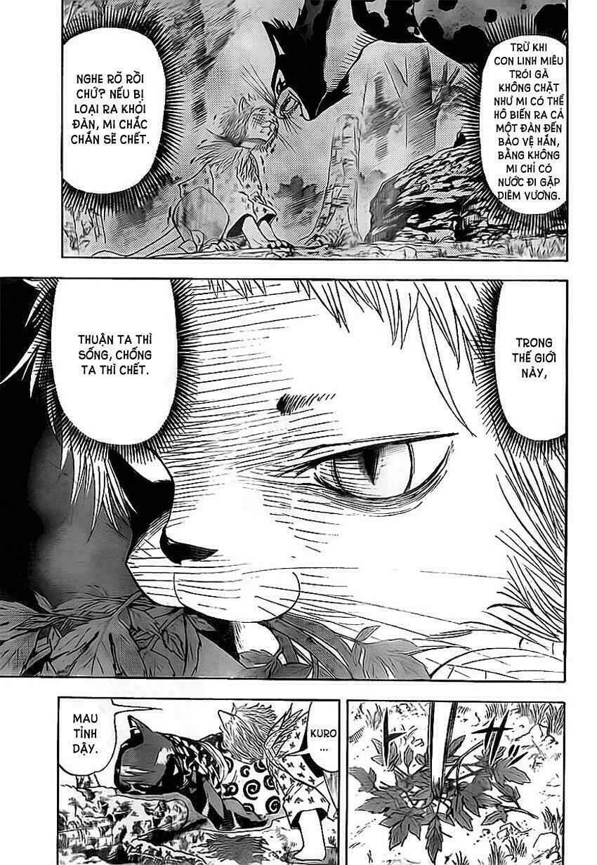Doubutsu no Kuni - Vương Quốc Thú Vật: Chapter 10.5