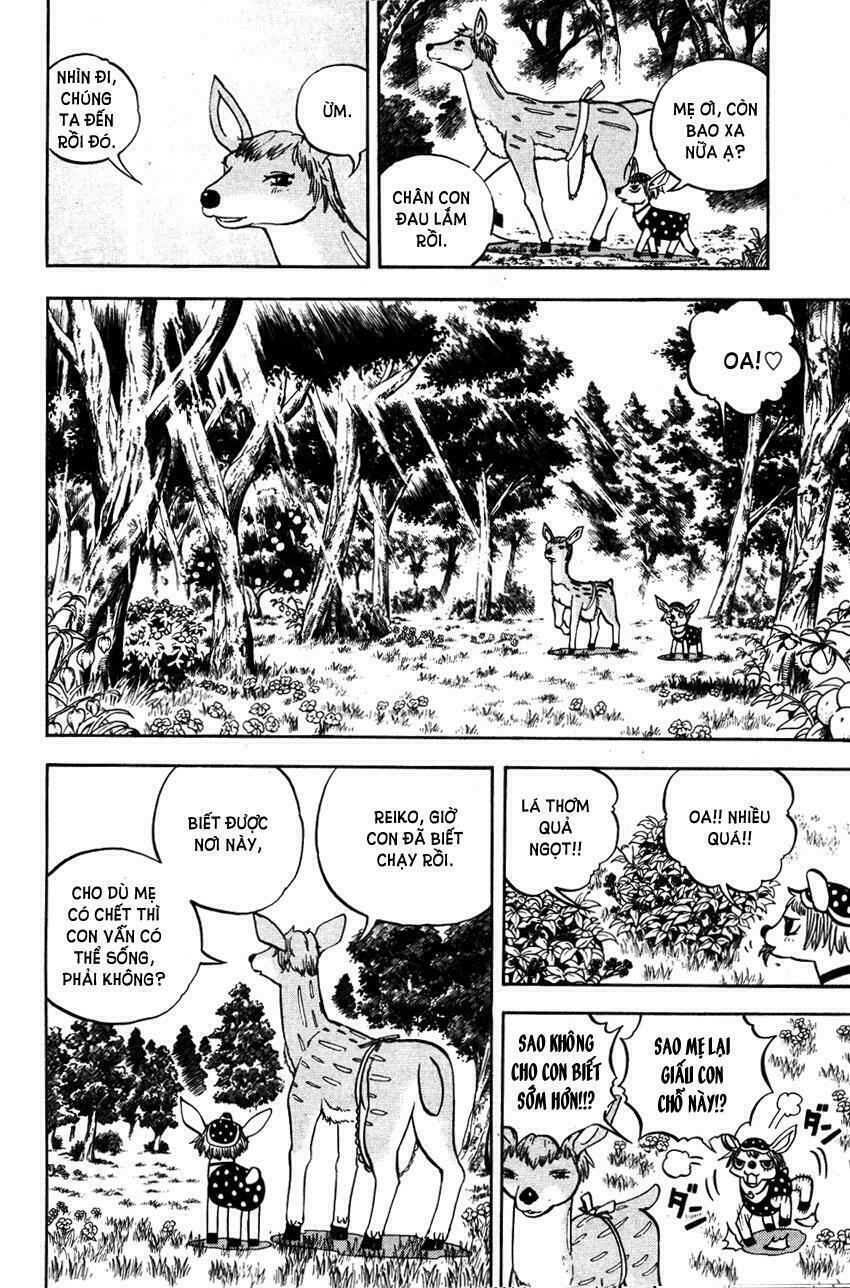 Doubutsu no Kuni - Vương Quốc Thú Vật: Chapter 21.5