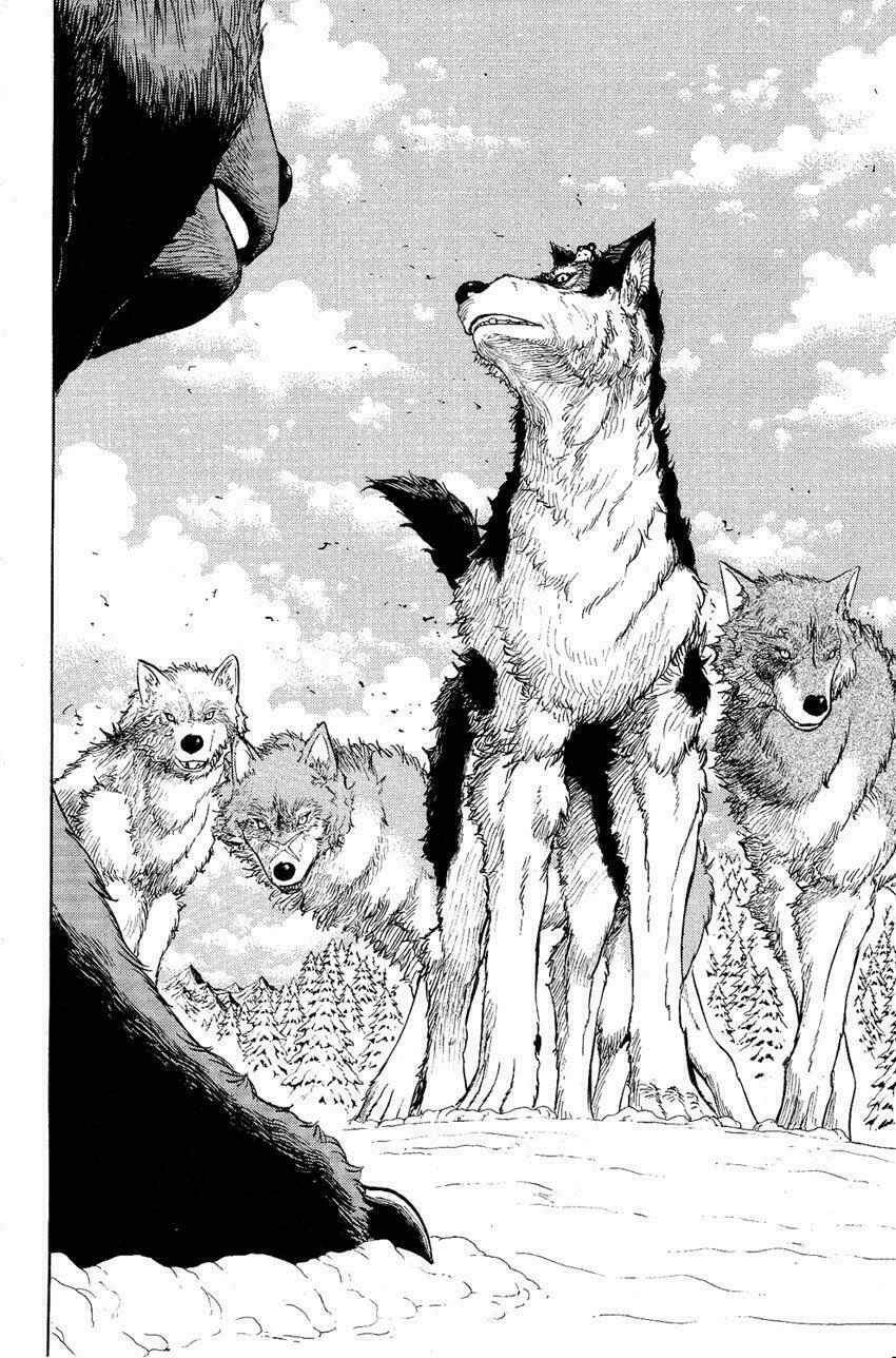 Doubutsu no Kuni - Vương Quốc Thú Vật: Chapter 5