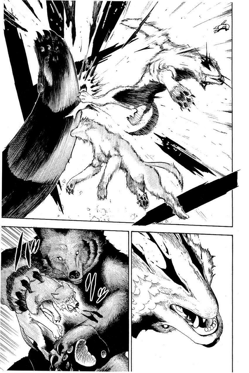 Doubutsu no Kuni - Vương Quốc Thú Vật: Chapter 5