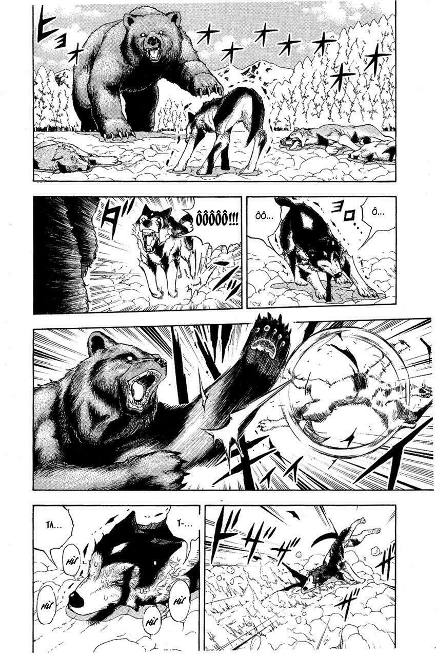 Doubutsu no Kuni - Vương Quốc Thú Vật: Chapter 5