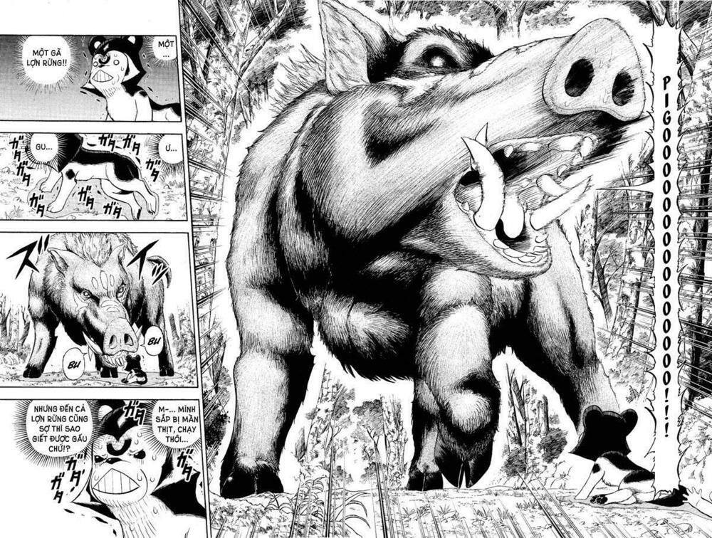 Doubutsu no Kuni - Vương Quốc Thú Vật: Chapter 6