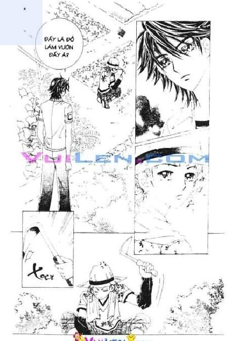 Ánh nắng chói chang: Chapter 15