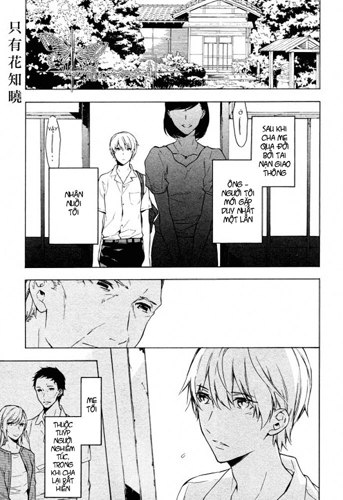 Only The Flower Knows: Chapter 8