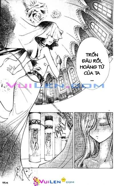 Viên Ngọc Nàng Tiên Cá: Chapter 2