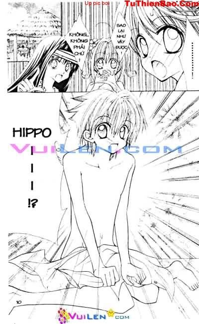 Viên Ngọc Nàng Tiên Cá: Chapter 3