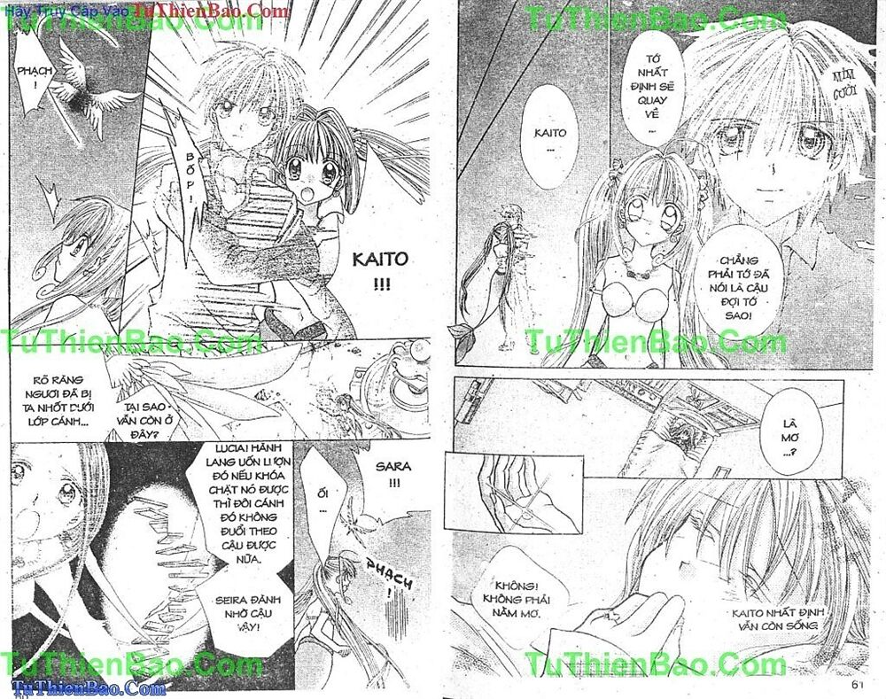 Viên Ngọc Nàng Tiên Cá: Chapter 5