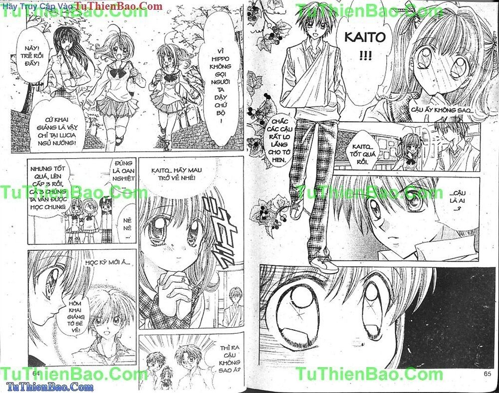 Viên Ngọc Nàng Tiên Cá: Chapter 5