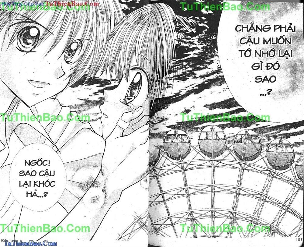 Viên Ngọc Nàng Tiên Cá: Chapter 5