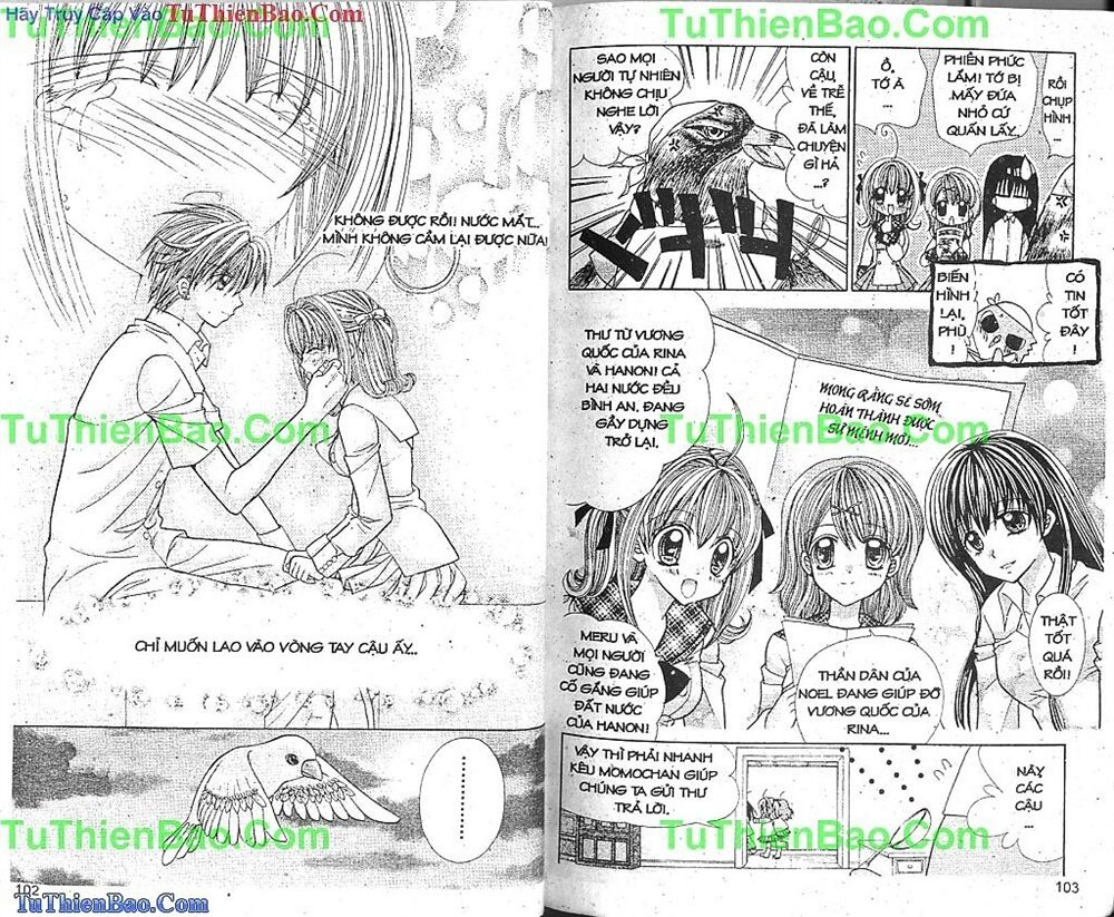 Viên Ngọc Nàng Tiên Cá: Chapter 5