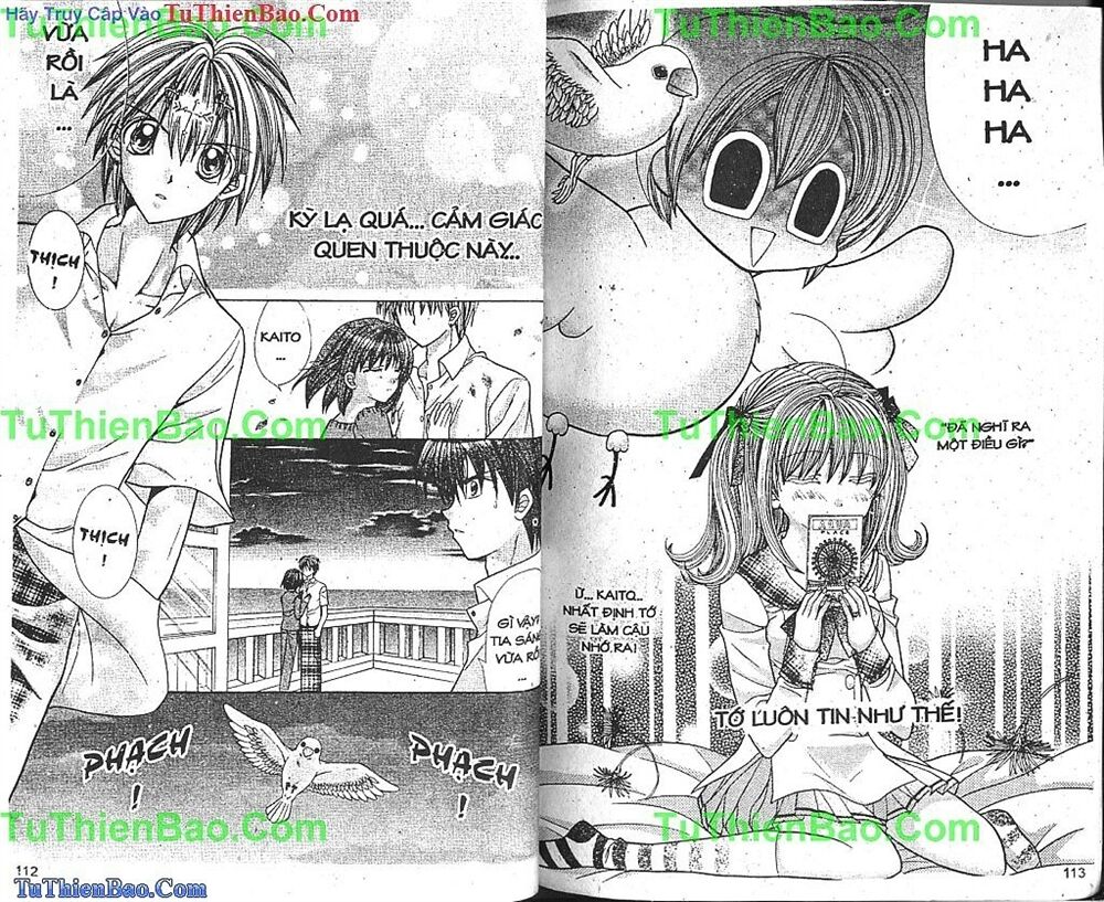 Viên Ngọc Nàng Tiên Cá: Chapter 5