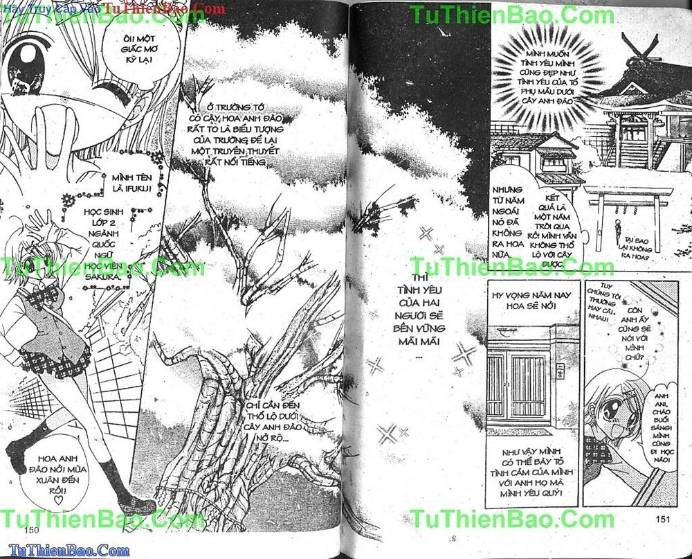 Viên Ngọc Nàng Tiên Cá: Chapter 7