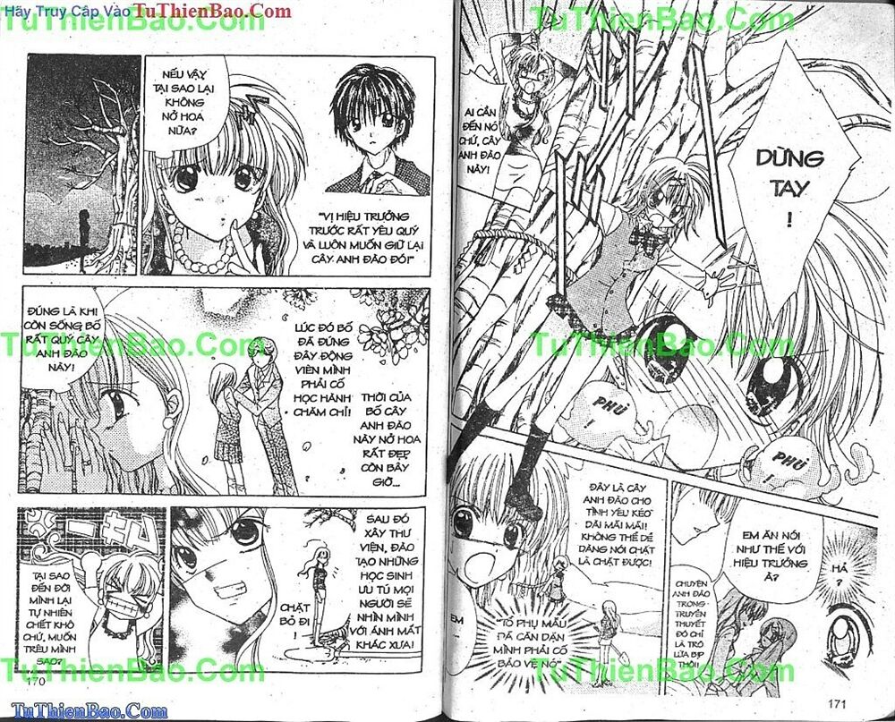 Viên Ngọc Nàng Tiên Cá: Chapter 7